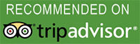 tripadvisor